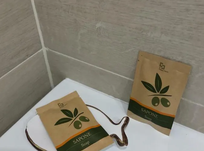 Anciua Delle Cinque Terre Apartament